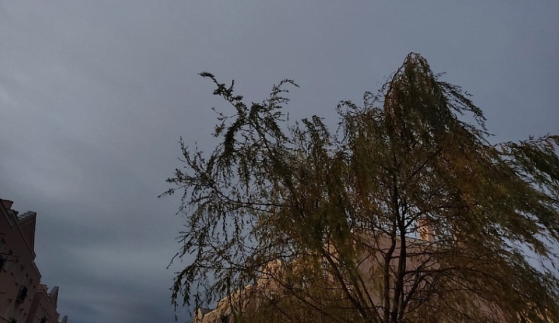 В Калуге 24 марта потеплеет до +8