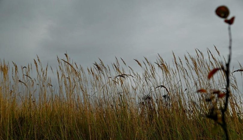 В Калужской области 6 мая ожидается усиление ветра