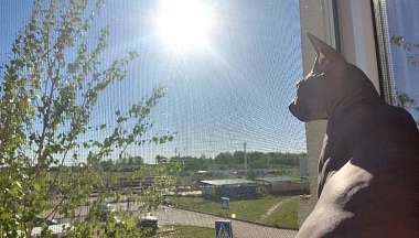 Последнее мартовское воскресенье в Калуге выдастся теплым