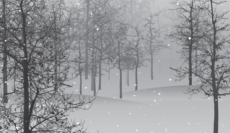 В Калуге выпал снег