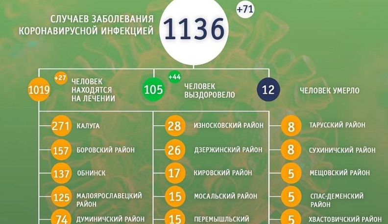 Сегодня от коронавируса излечились ещё 44 жителя Калужской области