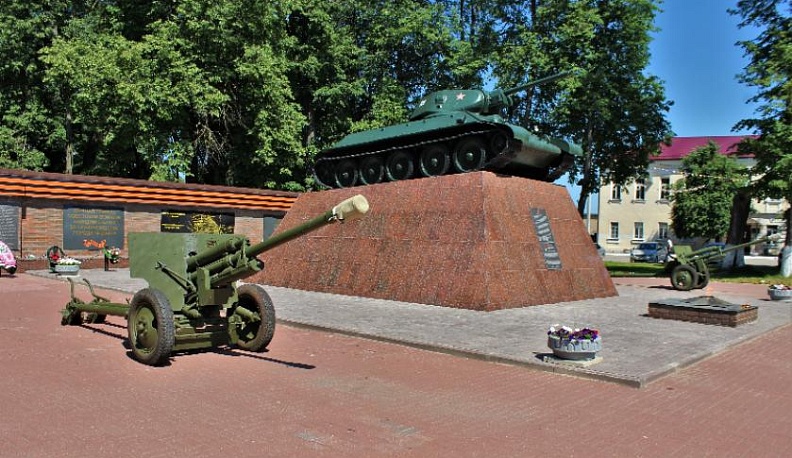 В Медынском парке появились пушки