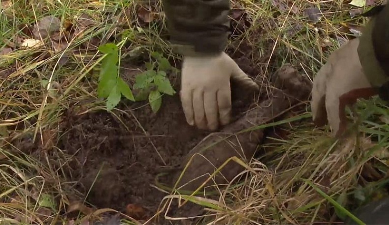 Поисковики обнаружили останки более 70 десантников в рамках Вахты памяти «Калужский Рубеж - 2021»