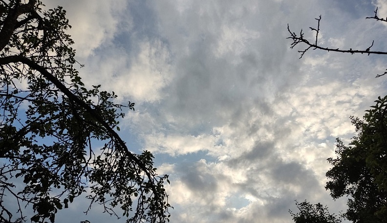 В Калуге прогнозируют небольшое похолодание