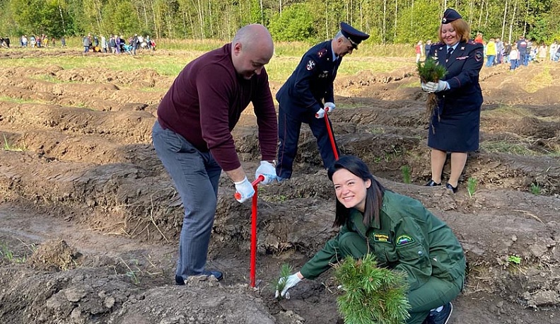 В Калуге появился лес в виде числа 650