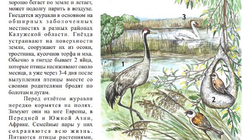 Красная книга Калужской области для детей вышла вторым изданием