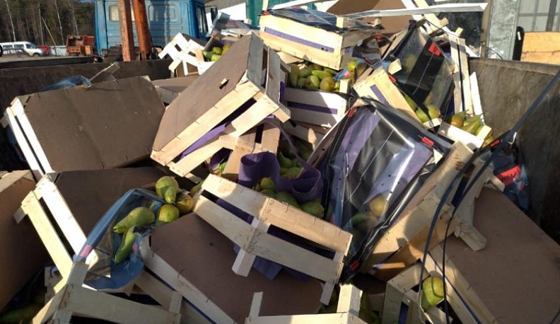 Больше 40 тонн груш из Польши и Бельгии уничтожили в Калужской области