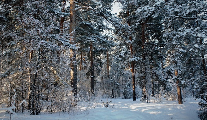 Владимир Жипа поздравил калужских защитников природы с Днем заповедников и нацпарков