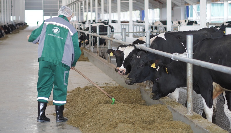 Идём к заветной цели