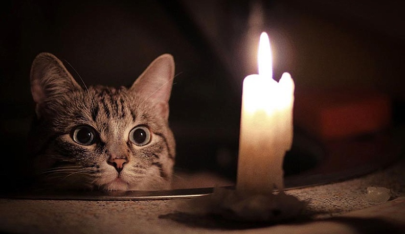 Калужские Аненки сегодня на весь день останутся без света