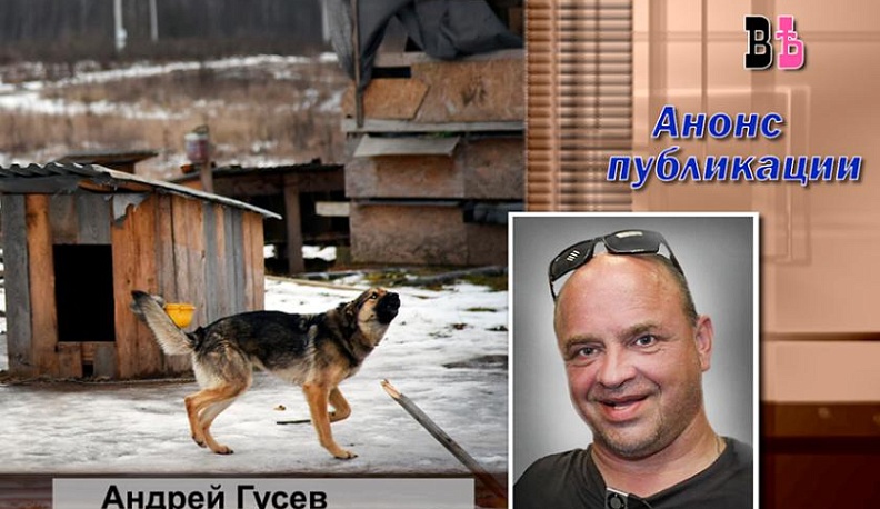 Корреспондент "КГВ" разбирался, почему обещания для многодетных семей не выполнили