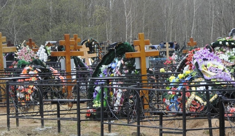 В Калуге Литвиновское кладбище станет больше почти на гектар
