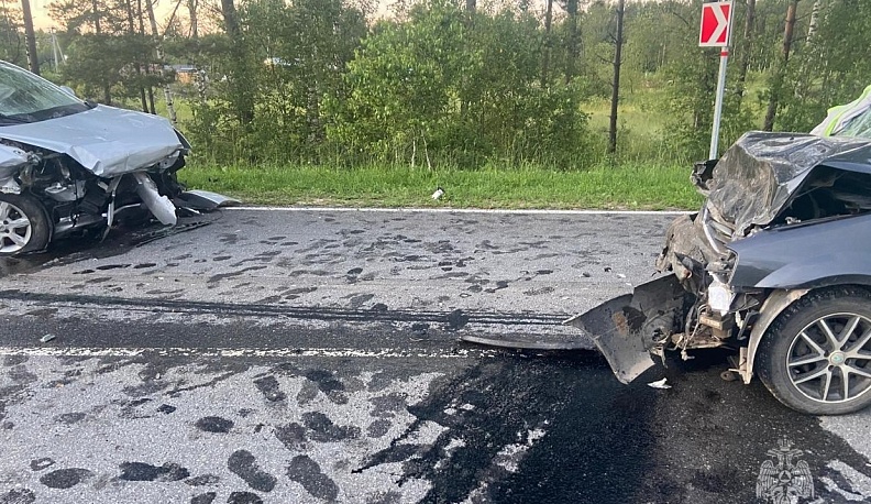 В Перемышльском районе при столкновении двух иномарок пострадали люди