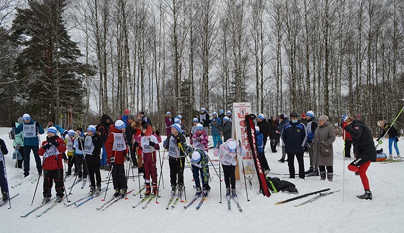 На «Лыжню России» вышел Малоярославец