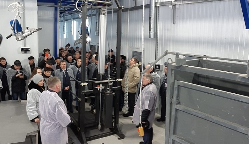 В Медынском районе на базе ООО «Ферма. Ру» открыт убойный цех