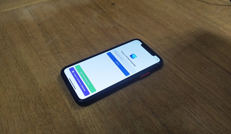 В России назван самый популярный мессенджер для обсуждения процессов учебы у школьников
