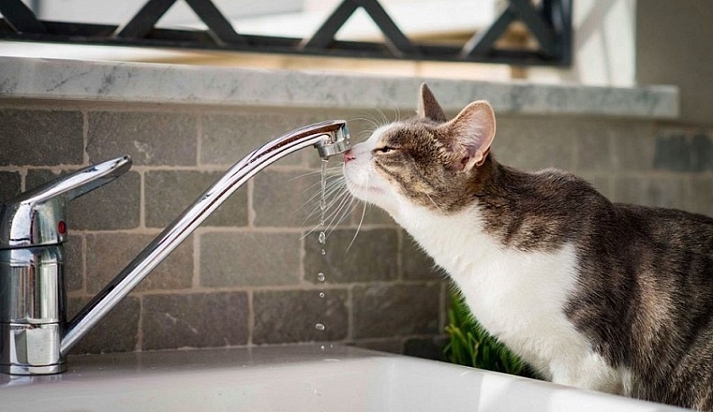 Шесть улиц Калуги останутся без воды