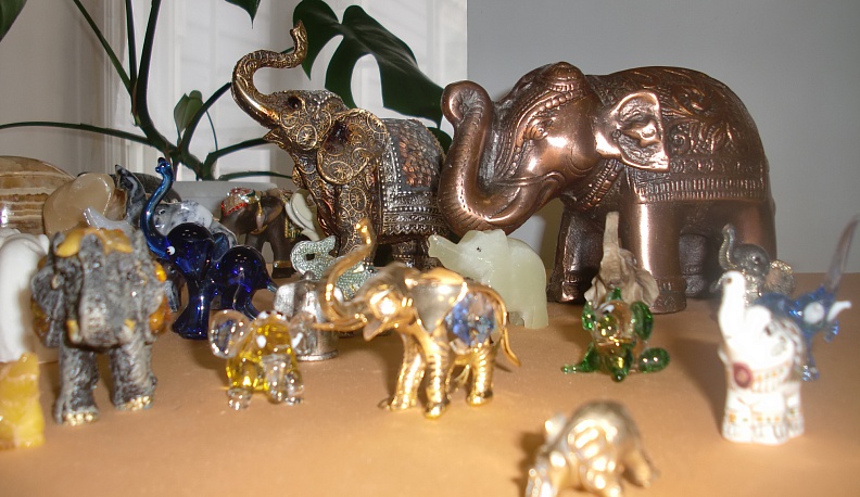 Выставка «Семь счастливых слонов» начала работу в Калуге