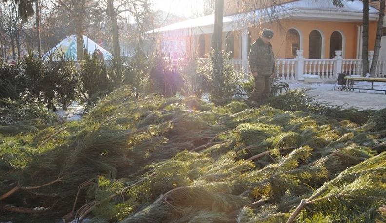 В Обнинске пройдёт юбилейная экоакция «Ёлки, палки и щепа» 