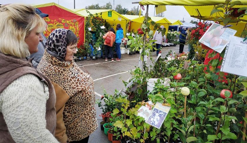 В Калуге опубликовали программу ярмарки «Калужская осень»
