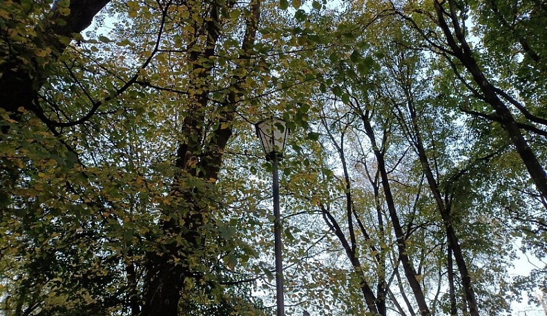 Калуга готовится побить температурный рекорд 45-летней давности