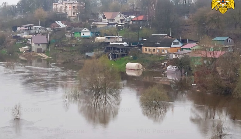 После разлива Жиздры в Козельске подтопило 8 участков