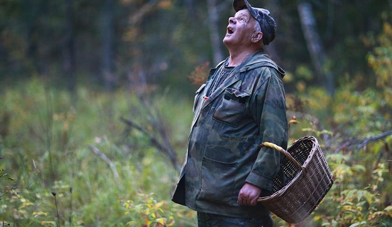 Если вы заблудились (потерялись) в лесу