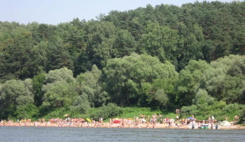 В Тарусе благоустраивают городской пляж