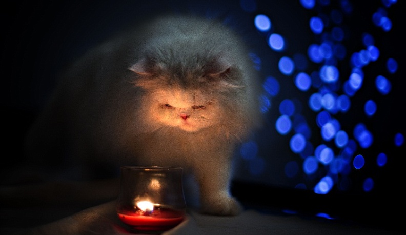 На шести улицах Калуги отключат электричество