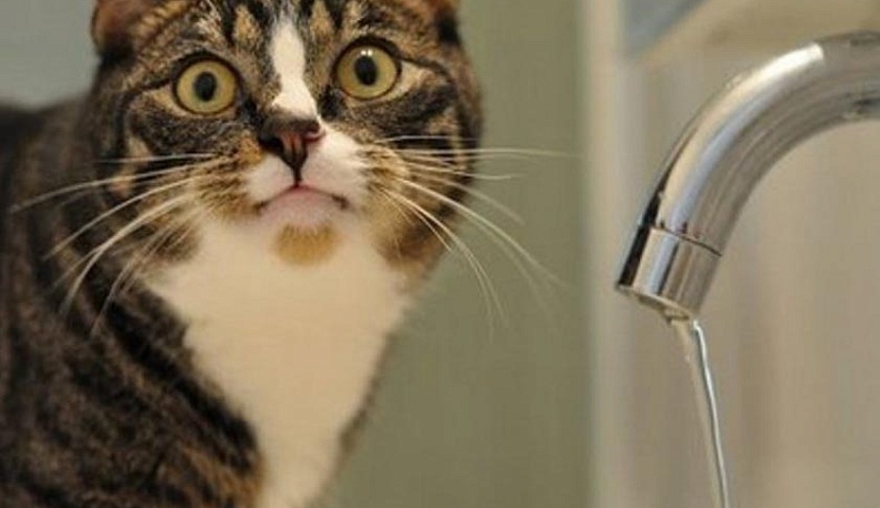 В Калуге в четверг три улицы останутся без воды