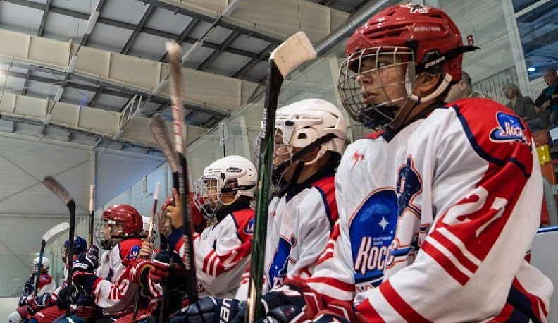 Владислав Шапша призвал поддержать калужских хоккеистов  в Юниорской лиге