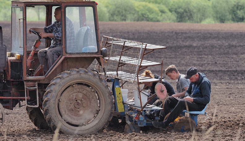 Фермеры Калужской области заканчивают посадку и сев овощей