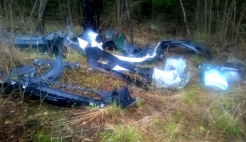 В лесу под Калугой грибник нашел свалку с обломками автомобилей