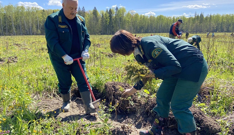 В Калужской области в акции «Дни защиты от экологической опасности» приняли участие около ста тысяч человек
