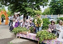 В Мосальске отметили праздник Троицы