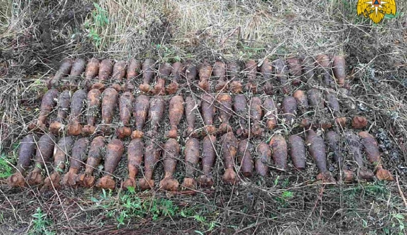 В Калужской области спасатели обезвредили 61 мину