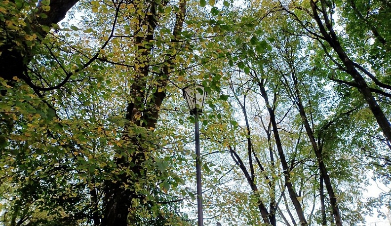 Две декады октября выдались в Калуге дождливыми и теплыми