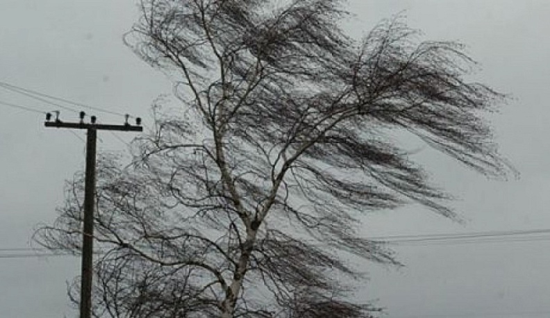 МЧС предупреждает о ветре и гололедице в Калужской области