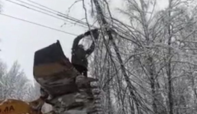 В Износковском районе местные жители самостоятельно расчистили линии электропередач от упавших деревьев и кустарников