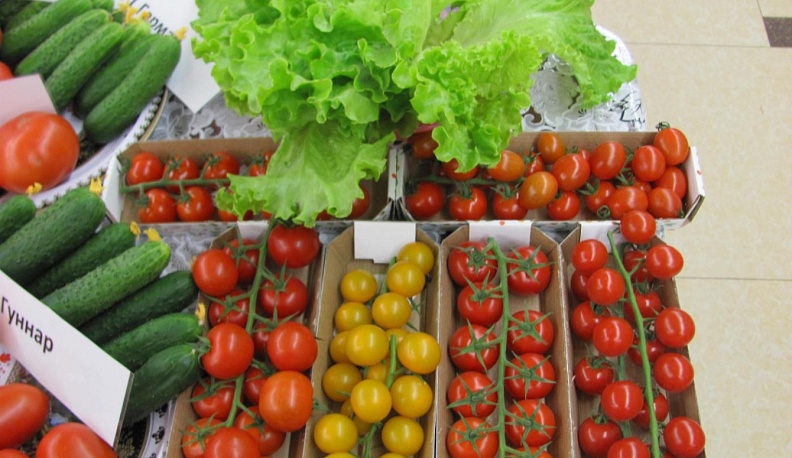 В Калужской области подорожали некоторые овощи