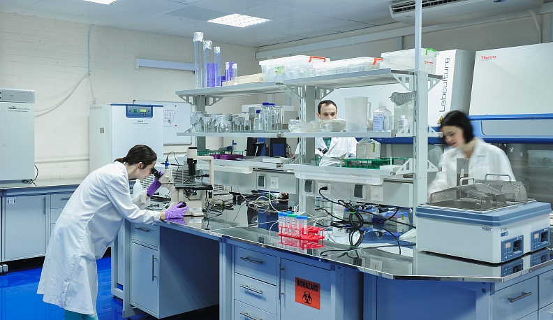 Лавры победителей