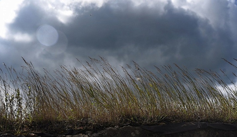 В Калужской области ожидается небольшой дождь