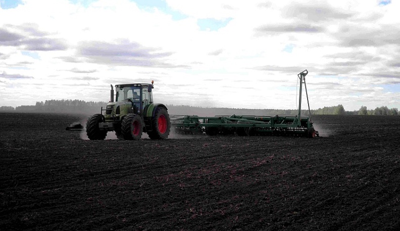 В регионе завершается сев озимых