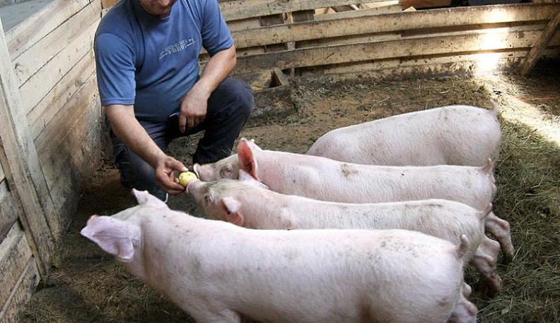 Себе – на радость, людям – на пользу