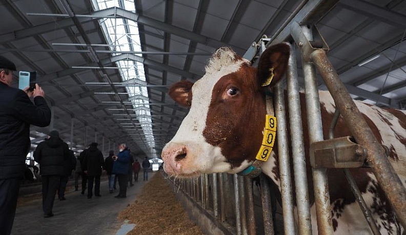 Молоко в плюсе, овощи в минусе