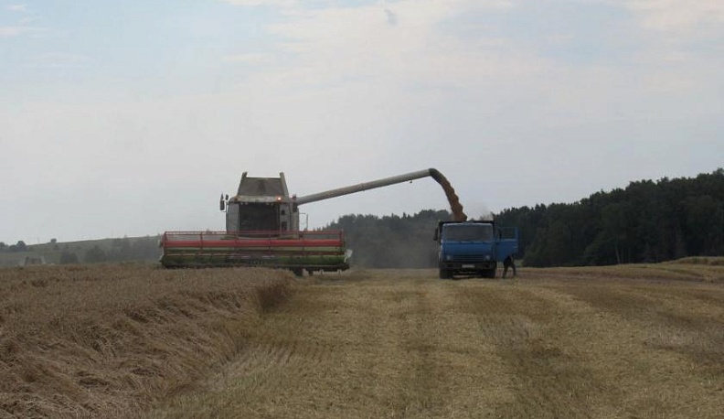 Когда земля плодоносит