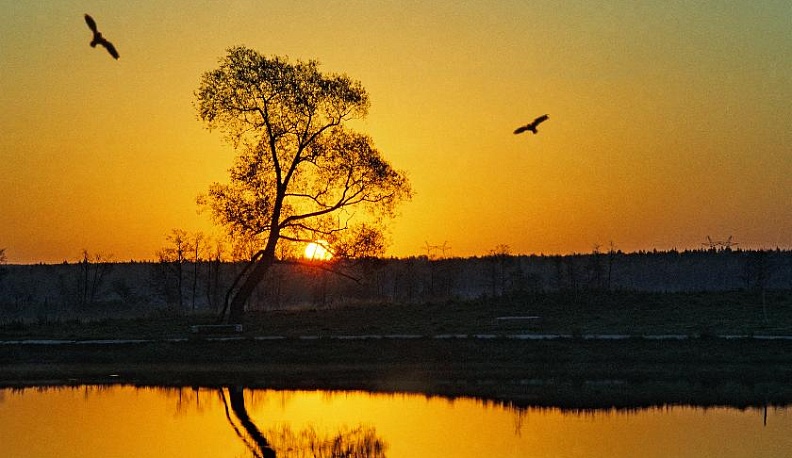 «Не прячьте щедрость на потом…» 