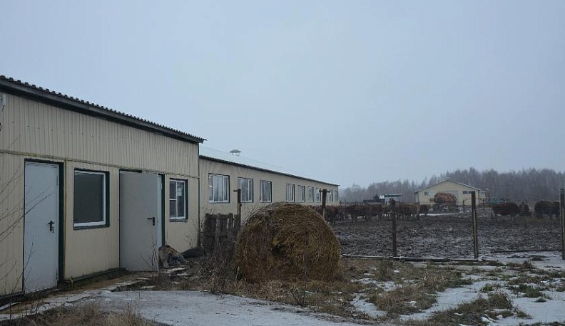 Не надо топтаться на месте