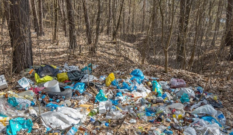 Смогут ли калужане справиться с пластиковым мусором?