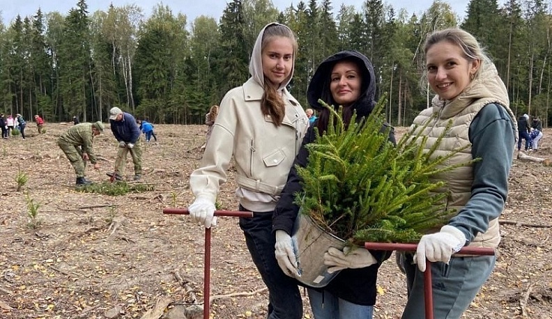 Более 280 тысяч деревьев высадили в Калужской области в рамках акции «Сад памяти»